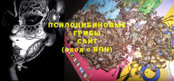 экстази Богородск