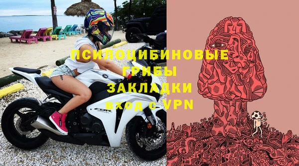 тгк Богданович